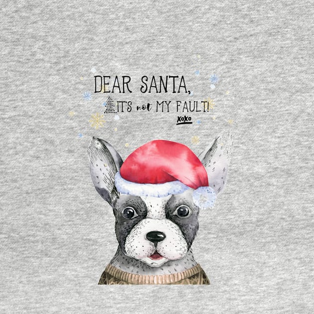 Dear Santa: It's Not My Fault by crazycanonmom